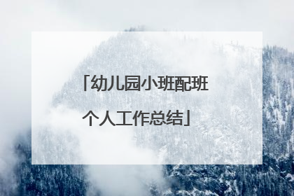 幼儿园小班配班个人工作总结