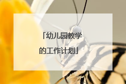 幼儿园教学的工作计划
