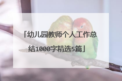幼儿园教师个人工作总结1000字精选5篇
