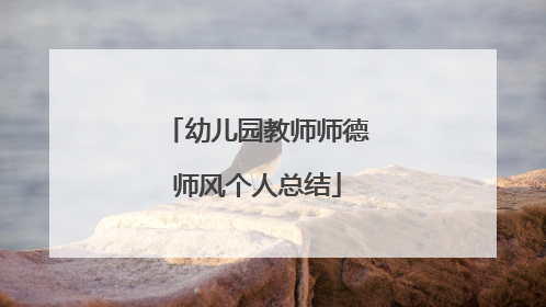 幼儿园教师师德师风个人总结