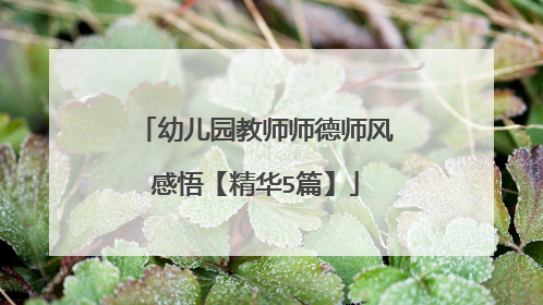 幼儿园教师师德师风感悟【精华5篇】