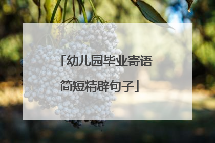 幼儿园毕业寄语简短精辟句子