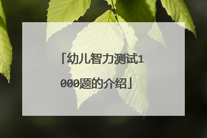 幼儿智力测试1000题的介绍