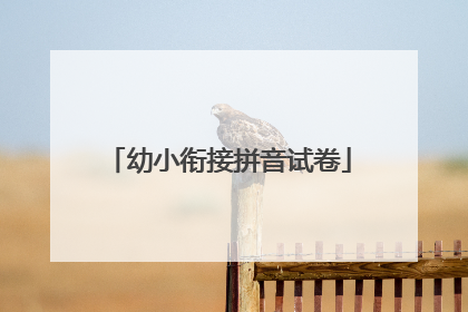 幼小衔接拼音试卷