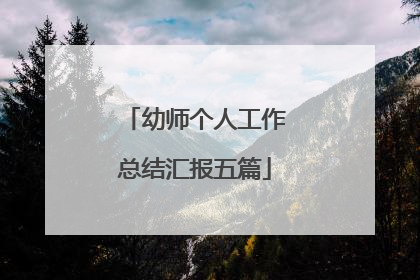 幼师个人工作总结汇报五篇