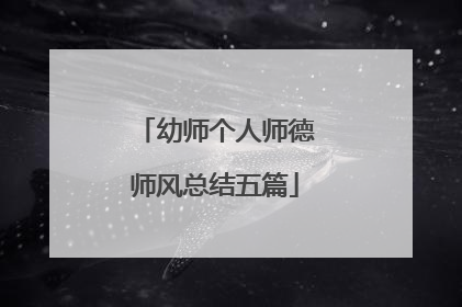 幼师个人师德师风总结五篇