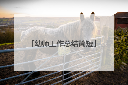 幼师工作总结简短