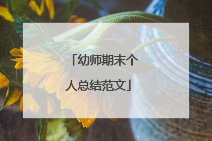 幼师期末个人总结范文