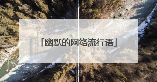 幽默的网络流行语