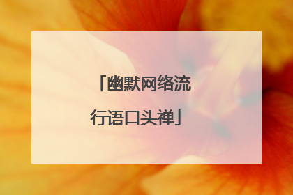 幽默网络流行语口头禅