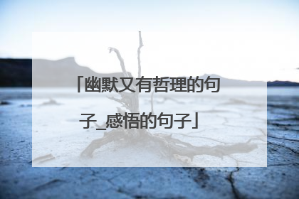 幽默又有哲理的句子_感悟的句子