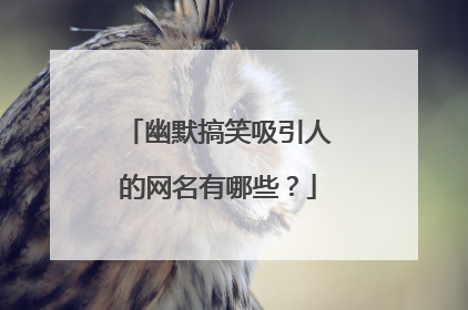 幽默搞笑吸引人的网名有哪些?