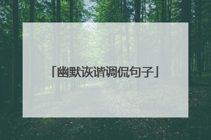 幽默诙谐调侃句子
