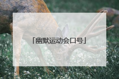 幽默运动会口号