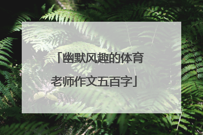 幽默风趣的体育老师作文五百字