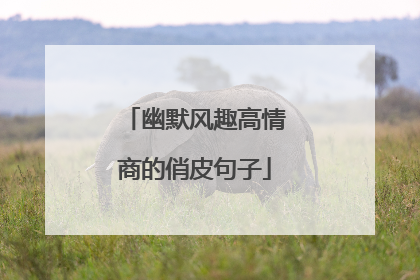 幽默风趣高情商的俏皮句子