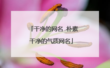 干净的网名 朴素干净的气质网名