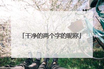 干净的两个字的昵称