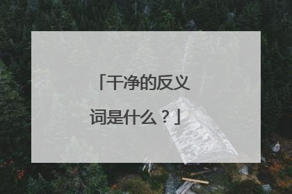 干净的反义词是什么?