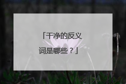 干净的反义词是哪些?