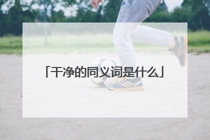 干净的同义词是什么