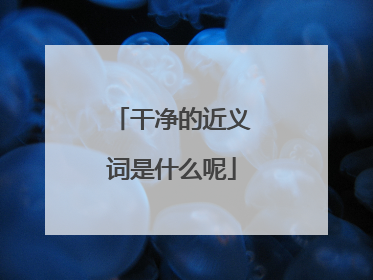 干净的近义词是什么呢