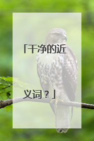 干净的近义词？