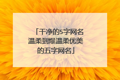 干净的5字网名温柔到爆温柔优美的五字网名