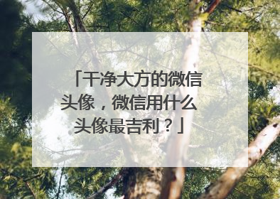 干净大方的微信头像,微信用什么头像最吉利?