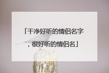 干净好听的情侣名字,很好听的情侣名
