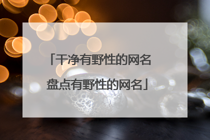 干净有野性的网名 盘点有野性的网名