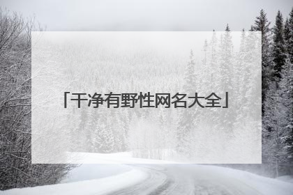 干净有野性网名大全