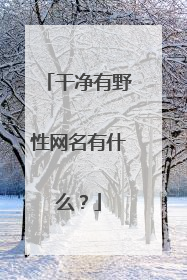 干净有野性网名有什么？