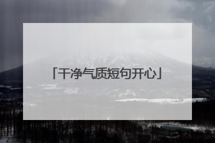 干净气质短句开心