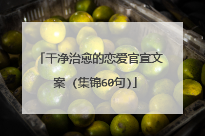 干净治愈的恋爱官宣文案 (集锦60句)