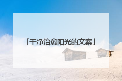 干净治愈阳光的文案