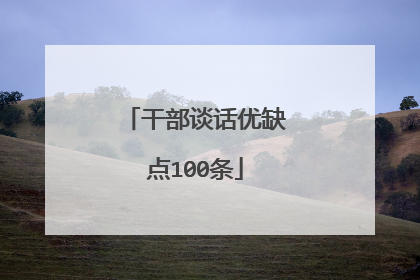 干部谈话优缺点100条