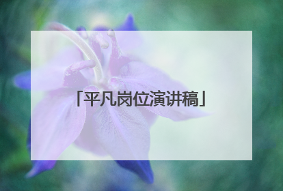 平凡岗位演讲稿