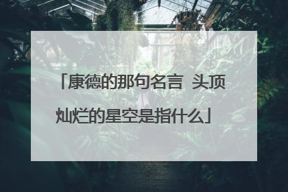 康德的那句名言 头顶灿烂的星空是指什么
