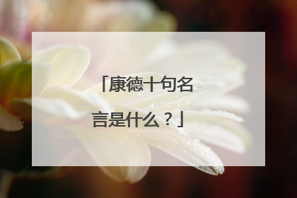 康德十句名言是什么?