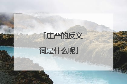 庄严的反义词是什么呢