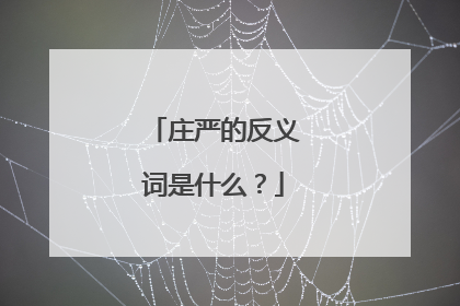 庄严的反义词是什么?