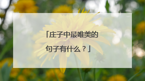 庄子中最唯美的句子有什么？