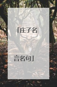 庄子名言名句