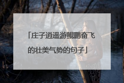 庄子逍遥游鲲鹏奋飞的壮美气势的句子