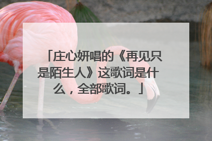 庄心妍唱的《再见只是陌生人》这歌词是什么,全部歌词。