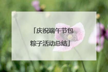 庆祝端午节包粽子活动总结