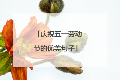 庆祝五一劳动节的优美句子