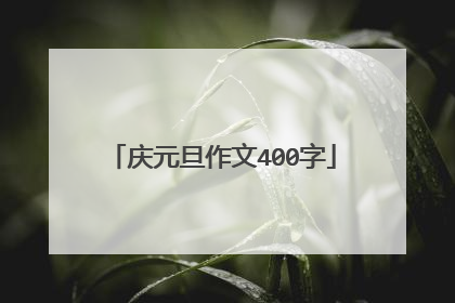 庆元旦作文400字