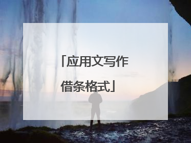 应用文写作借条格式